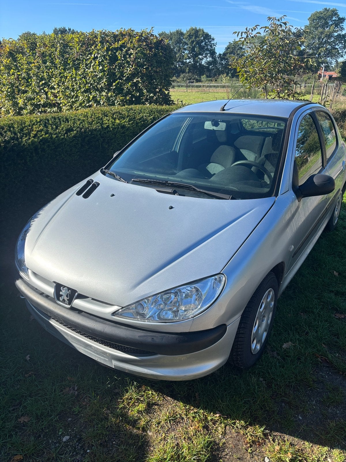 Peugeot 206, Auto's, Particulier, Te koop, Benzine