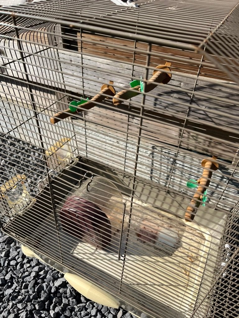 vogelhok met drinkbakjes, Ophalen, Gebruikt, Aluminium, Vogelkooi