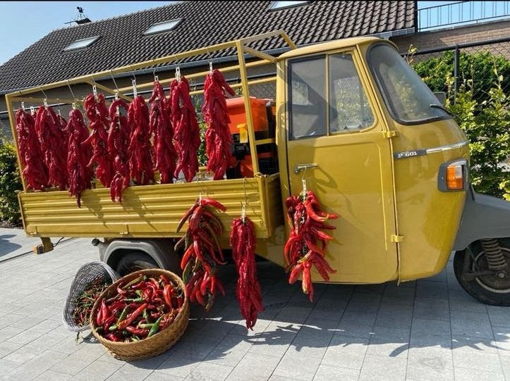 Piaggio ape, Articles professionnels, Stock & Retail | Voitures, Enlèvement