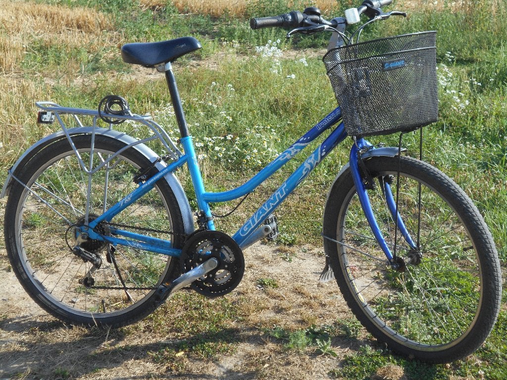 vélo de ville et balade a 75 euros, Vélos & Vélomoteurs, Enlèvement, Comme neuf