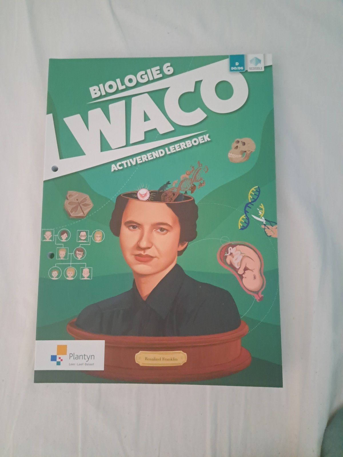 WACO Biologie 6 Activerend Leerboek – Plantyn, Boeken, Ophalen of Verzenden, Nederlands, Maarten Sanne; Ann Heyvaert; Frankie Goovaerts; Caroline Hammels