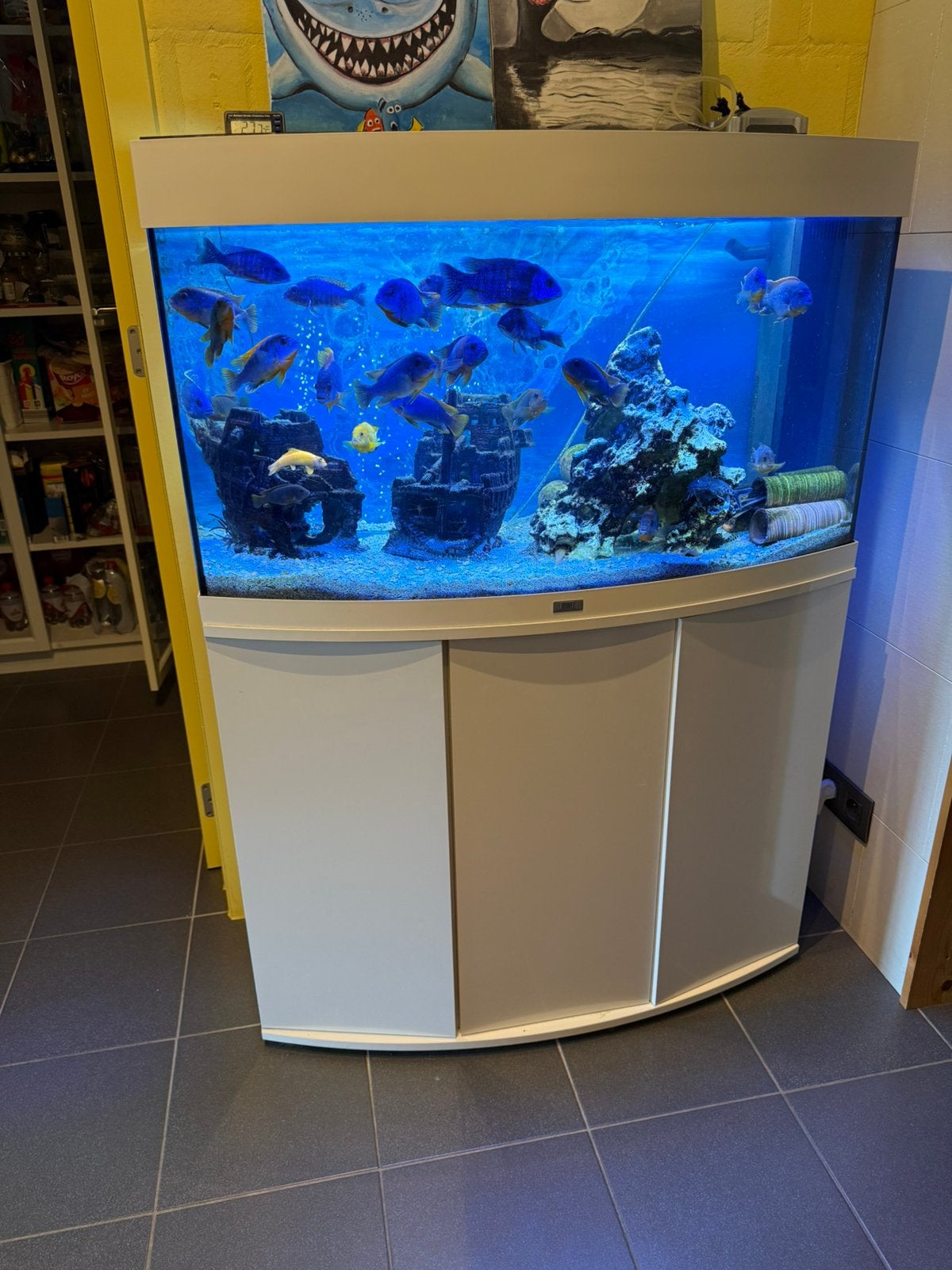 Volledig aquarium Juwel Vision 180 met Malawi chichliden, Ophalen, Decoratie, Pomp, Zo goed als nieuw