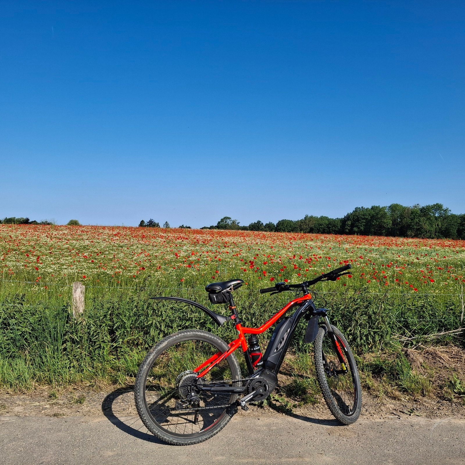 vélo BH électrique., Enlèvement