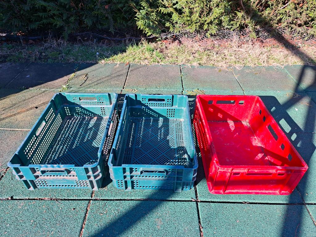 2 grote geperforeerde groene bakken en 1 rode bak, Ophalen, Gebruikt, Krat