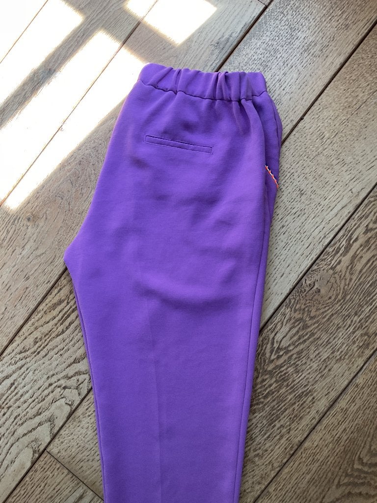 CKS, toffe broek, paars tof model, 40, Kleding | Dames, Maat 38/40 (M), Paars, Ophalen of Verzenden, CKS