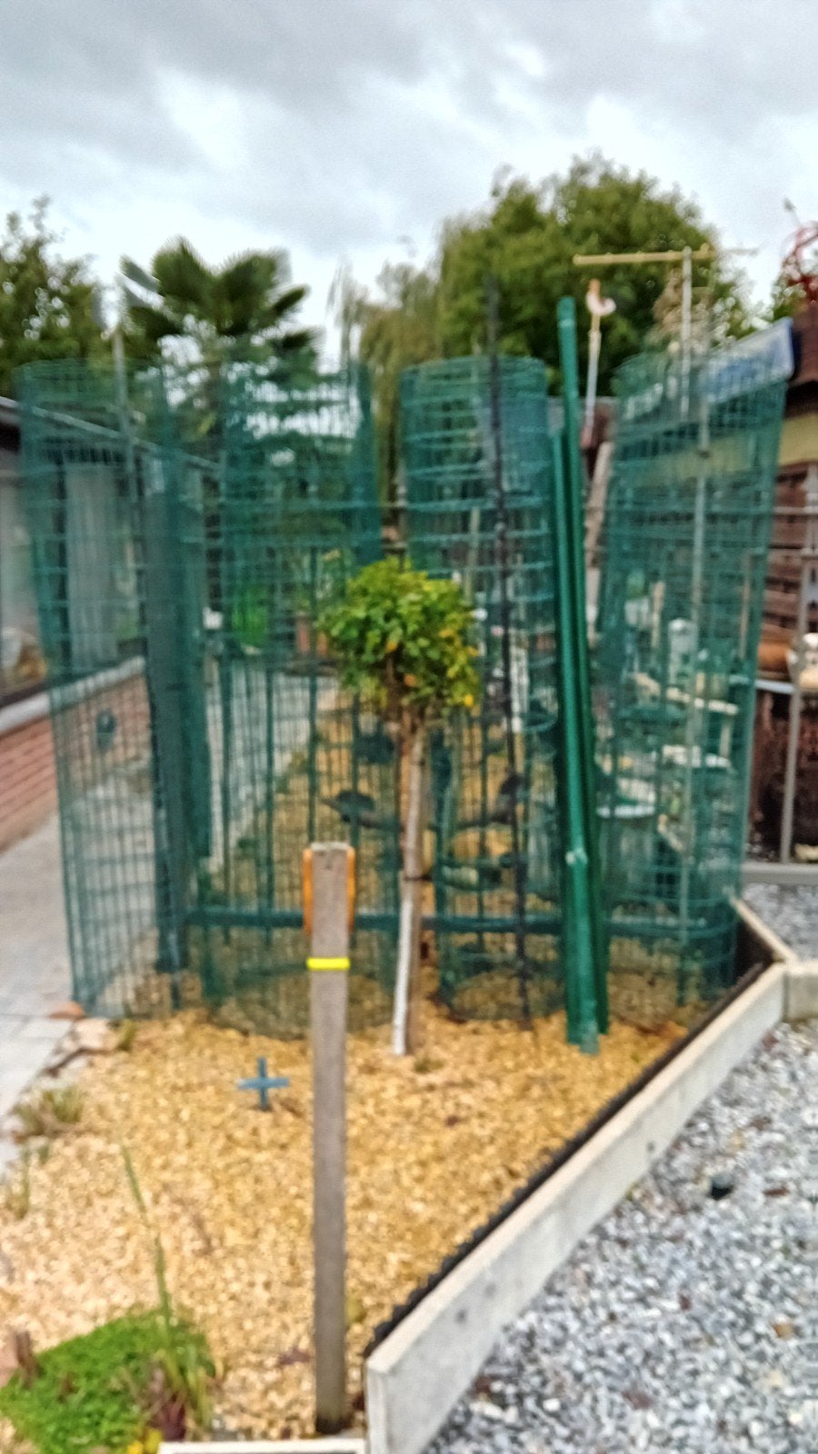 beschutting, Tuin en Terras, Ophalen
