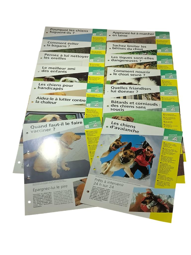 56 fiches sur les chiens éditions Atlas vintage année 90, Enlèvement