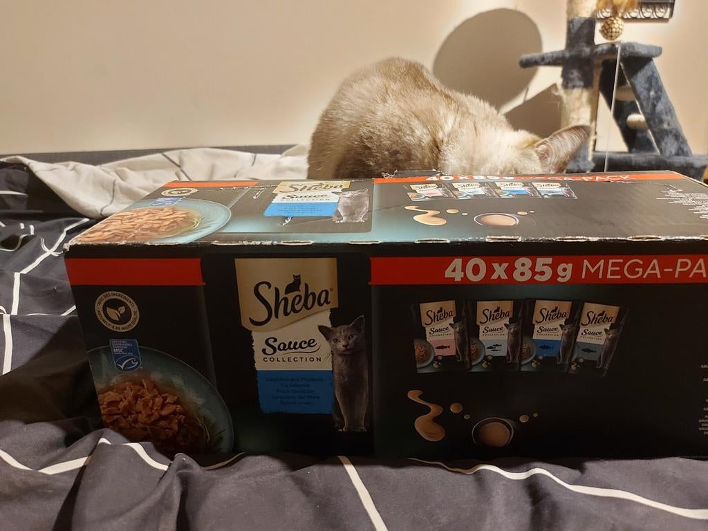 Sheba sauce collection, Animaux & Accessoires, Enlèvement