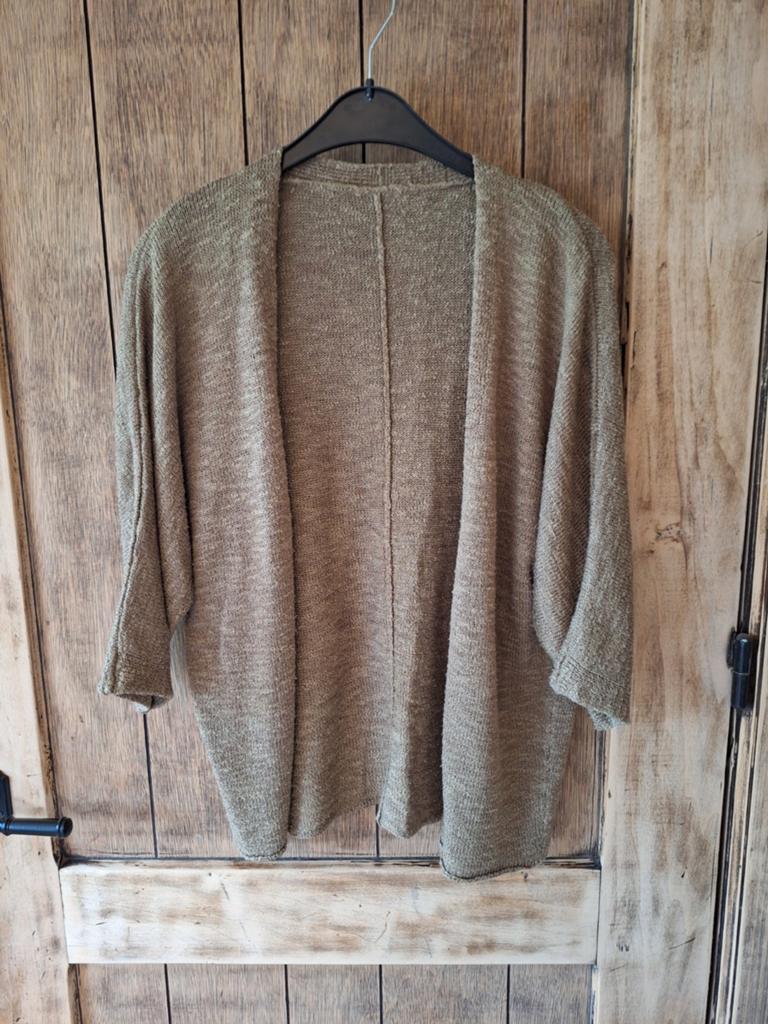 gebreid vest met driekwartmouwen, Kleding | Dames, Ophalen of Verzenden, Gedragen, Maat 38/40 (M)
