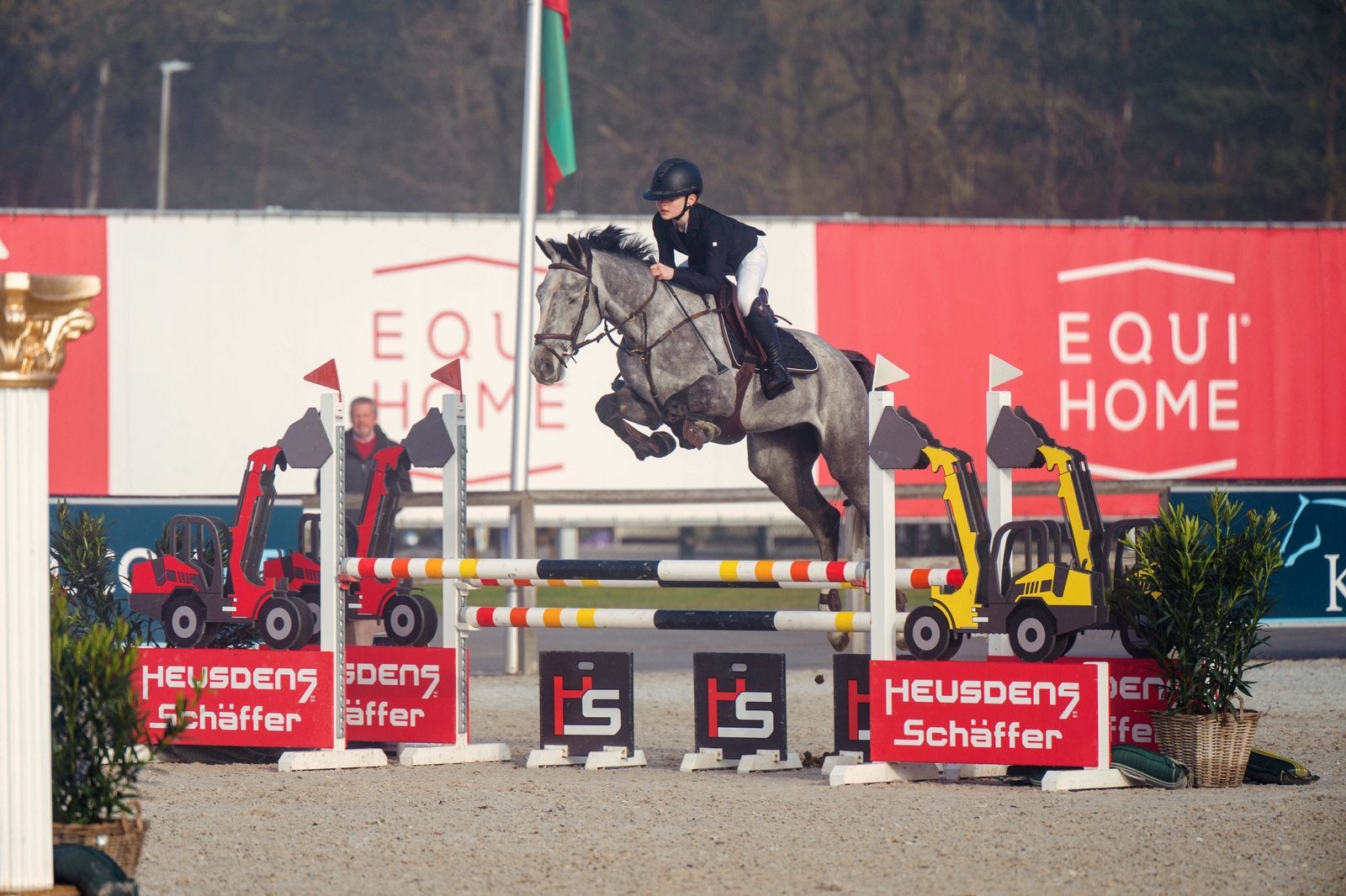6 jarig springpaard te koop, Dieren en Toebehoren, Ruin, Niet van toepassing, Met stamboom, 3 tot 6 jaar