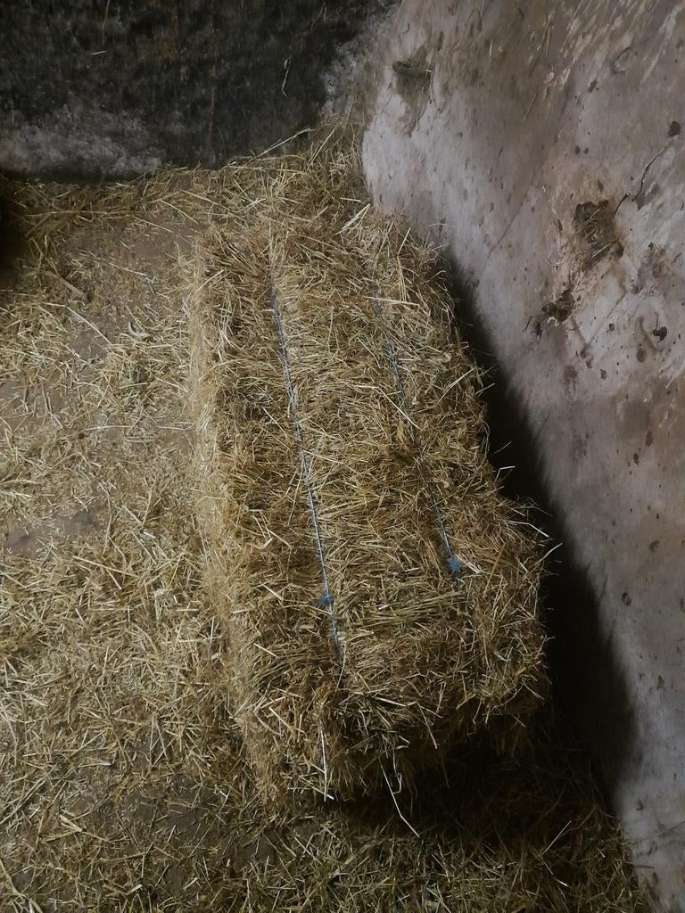 Kleine pakjes hooi en grote balen stroo te koop, Ophalen of Verzenden