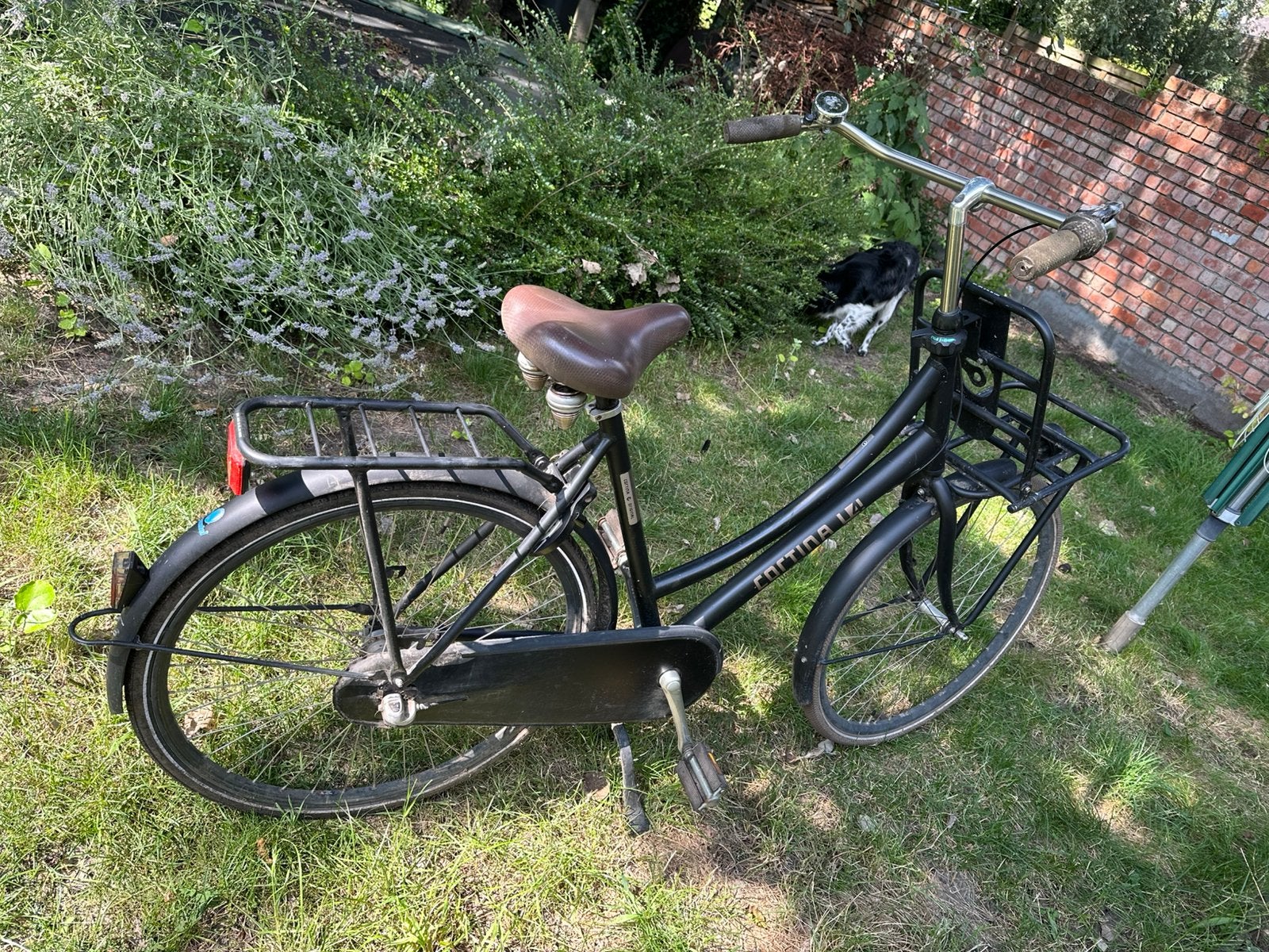Cortina damesfiets, Fietsen en Brommers, Fietsen | Dames | Omafietsen, Ophalen, Terugtraprem, Gebruikt, Cortina U4 Transport