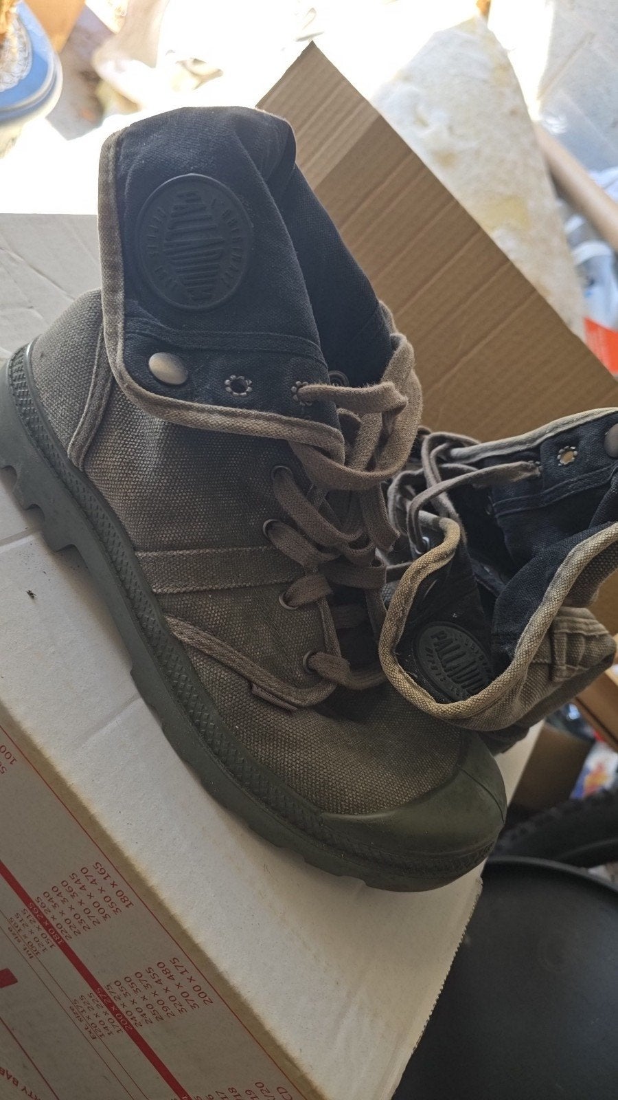chaussure paladium homme 43