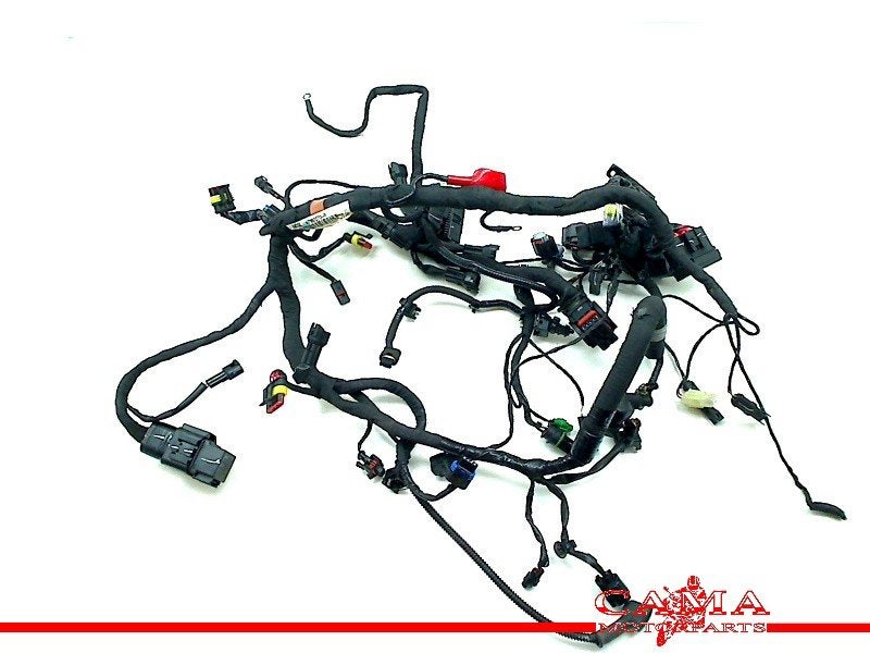 FAISCEAU DE CÂBLAGE DIVERS G 310 R 2017-2019 (G310R K03), Dhr. S. di Majo, Utilisé, Info@cama-motorparts.nl, P.J. Troelstraweg 8 8
3144 CX  MAASSLUIS, NL