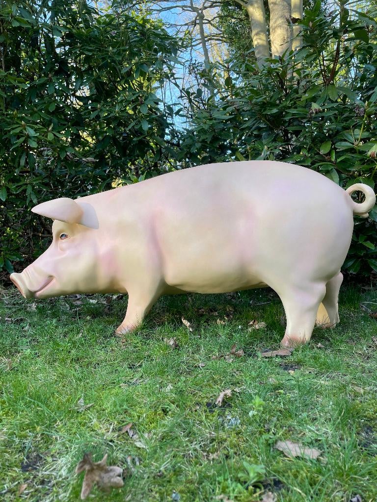 (Jardin) Photo cochon, jardin, pelouse, manège, ferme 100cm, Enlèvement, Neuf, Synthétique, Animal
