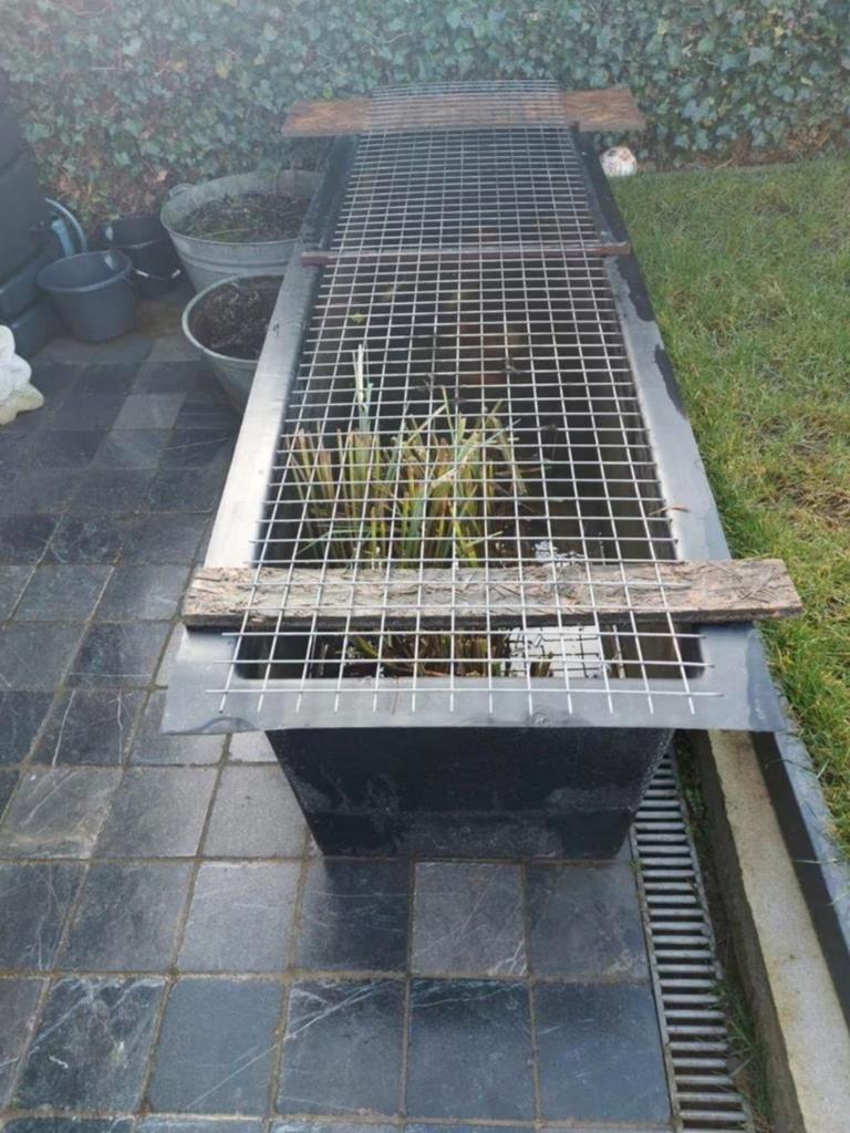Vijverbak, Tuin en Terras, Vijvers, Ophalen
