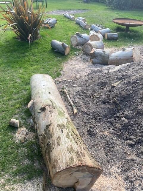 hout - Eucalyptus, Diversen, Ophalen, Nieuw