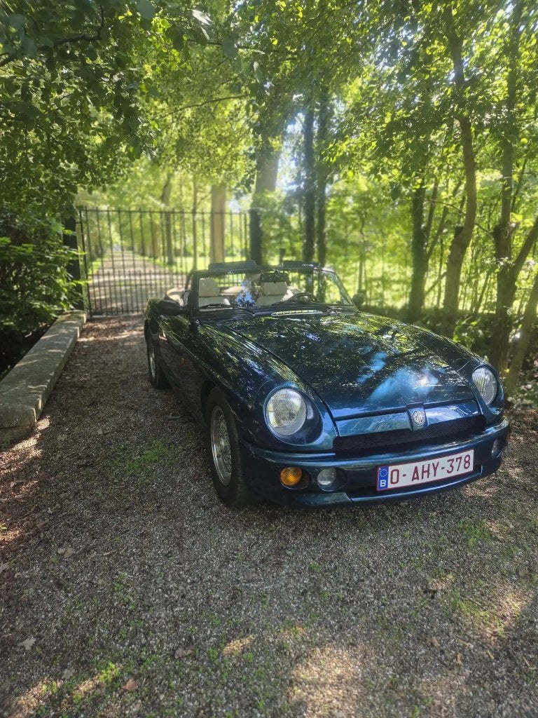 MG RV8, Cuir, Autres modèles, Achat, Beige