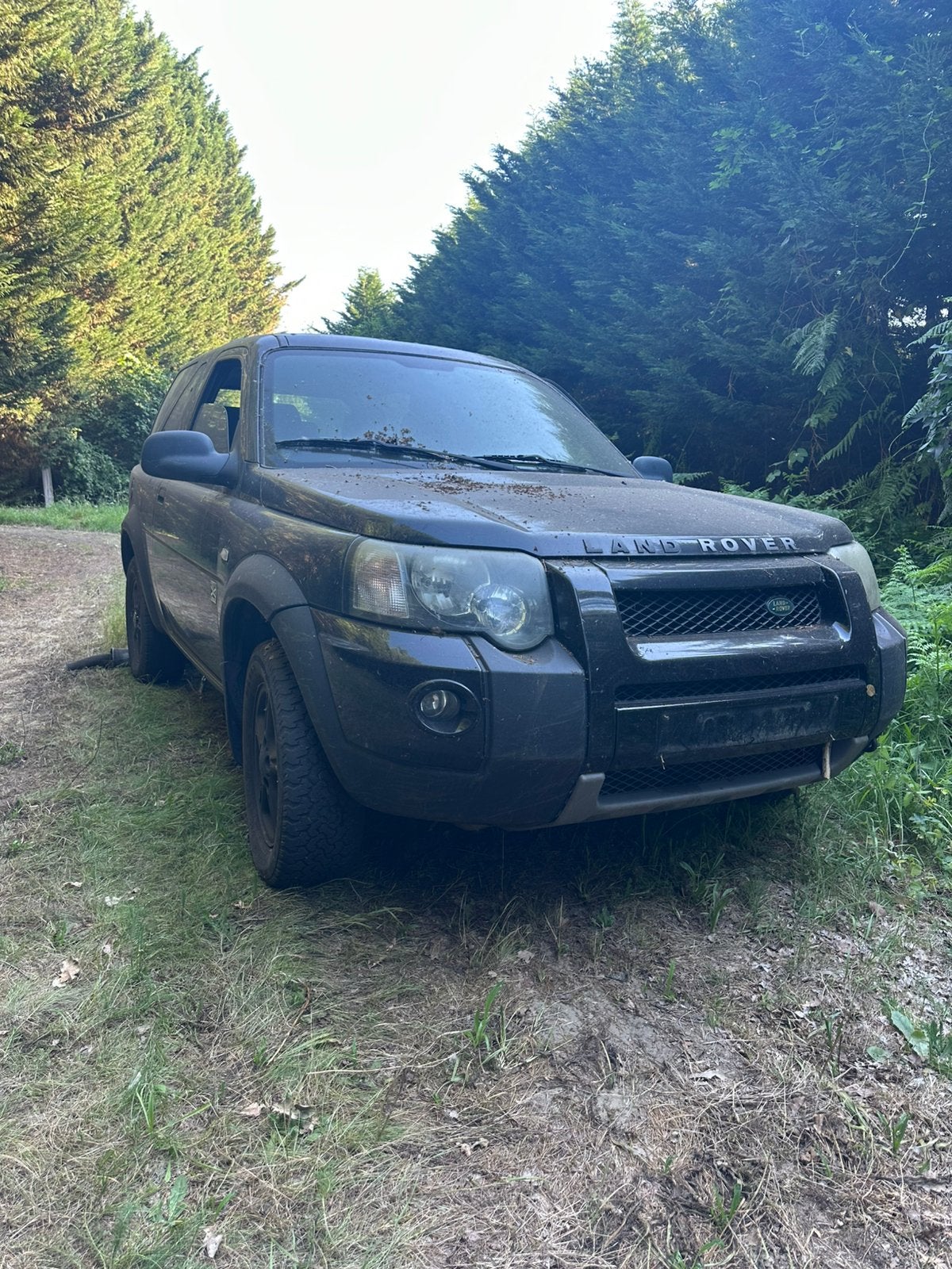 Land Rover Freelander 1 TD4 lifting, Particulier, Achat, Freelander