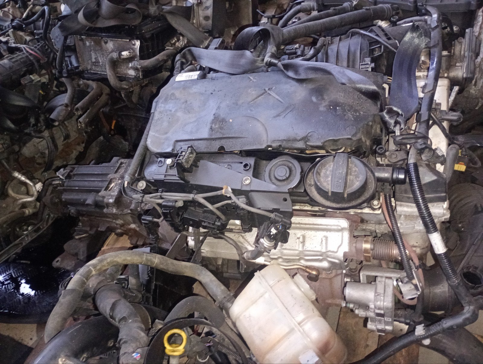 moteur BMW N47 2.0 2013, Enlèvement, BMW