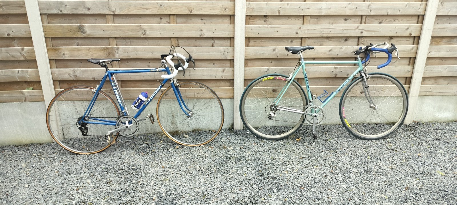 Francesco Moser et le Sportivo Columbus SLX, Vélos & Vélomoteurs, Enlèvement, Utilisé