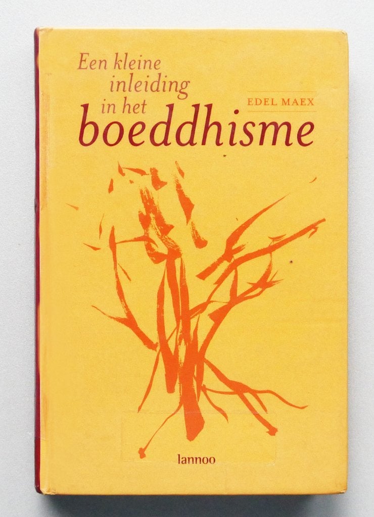 Een kleine inleiding in het boeddhisme, Boeken, Esoterie en Spiritualiteit, Nieuw, Ophalen of Verzenden