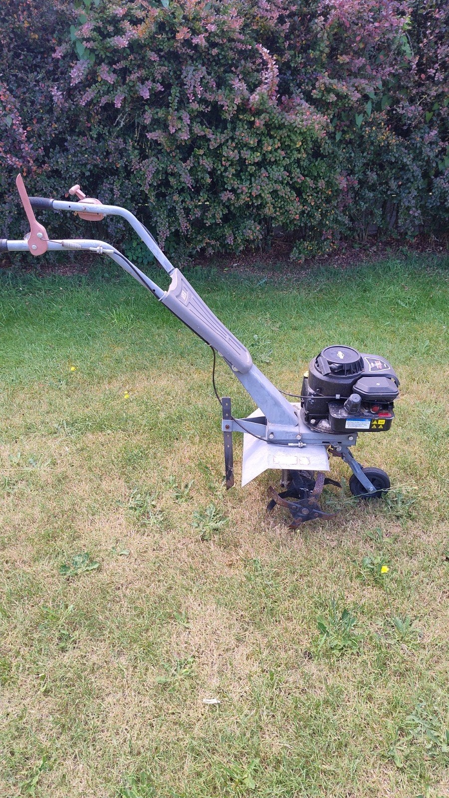 Tuinfrees, Ophalen, Tuinfrees