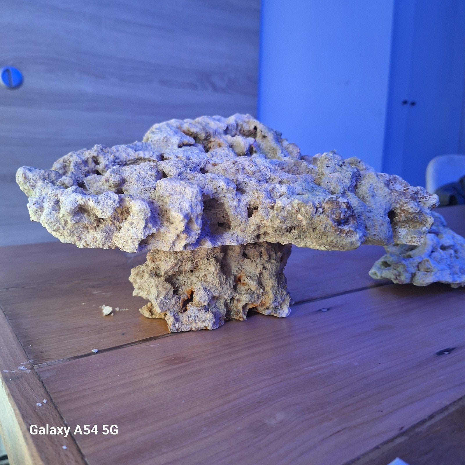 Levende steenen voor zeeaquarium, Ophalen