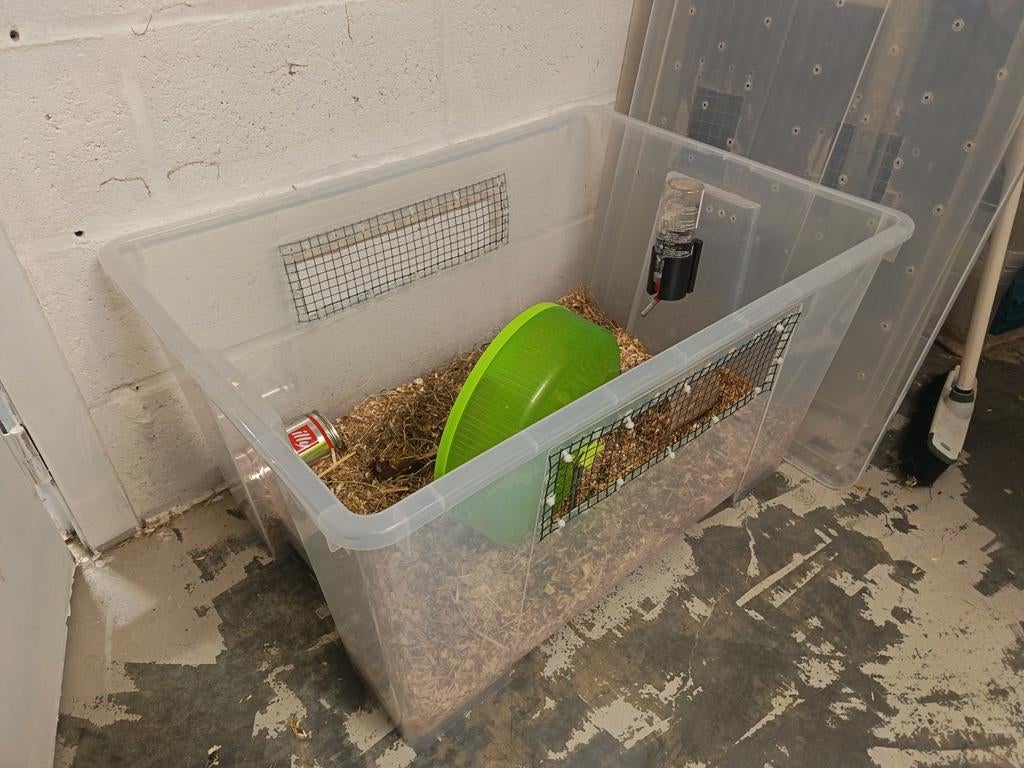 Hamsterkooi, Enlèvement, Utilisé, Cage, Hamster