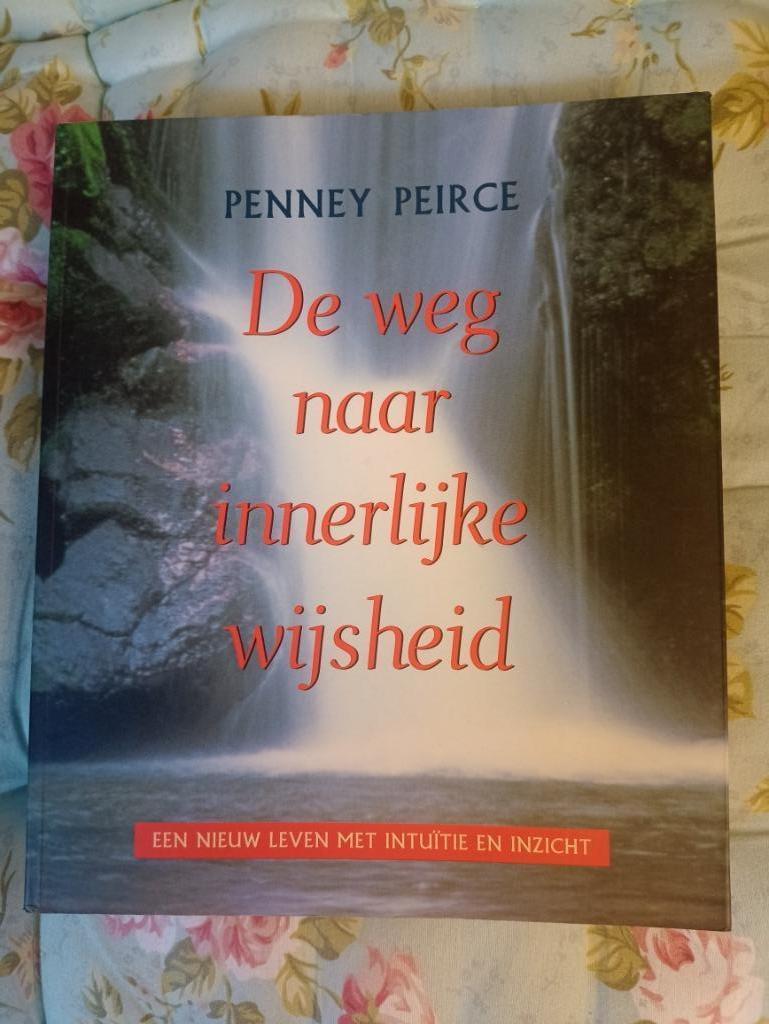 de weg naar innerlijke wijsheid, Ophalen of Verzenden, Zo goed als nieuw