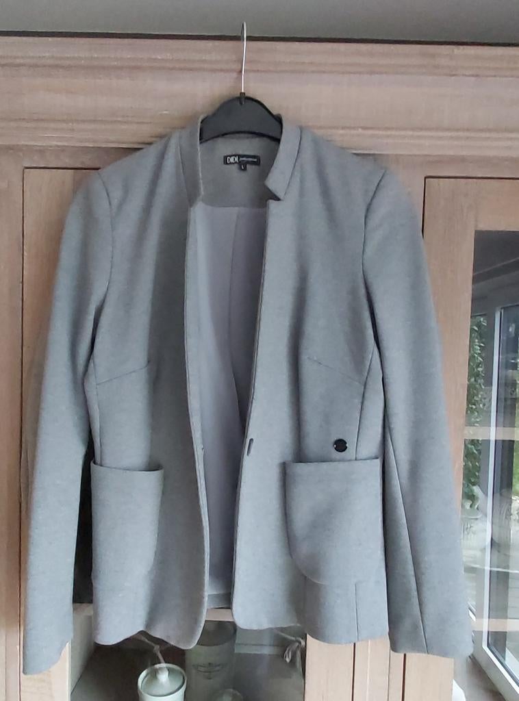 Grijze blaizer DIDI maat L, Kleding | Dames, Ophalen of Verzenden, Maat 42/44 (L)