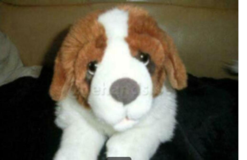 Pluche Sint Bernard hond, Ophalen of Verzenden, Hond