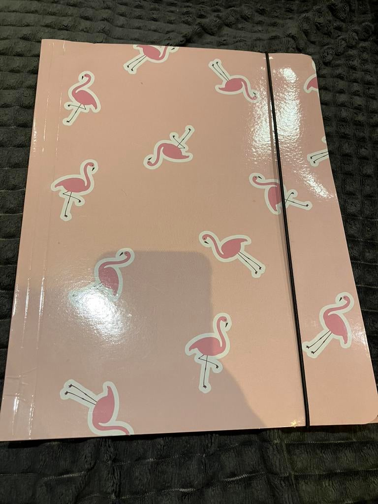 Kartonnen mapje met flappen met flamingo’s 31 x 24 cm, Diversen, Schoolbenodigdheden, Ophalen of Verzenden, Gebruikt