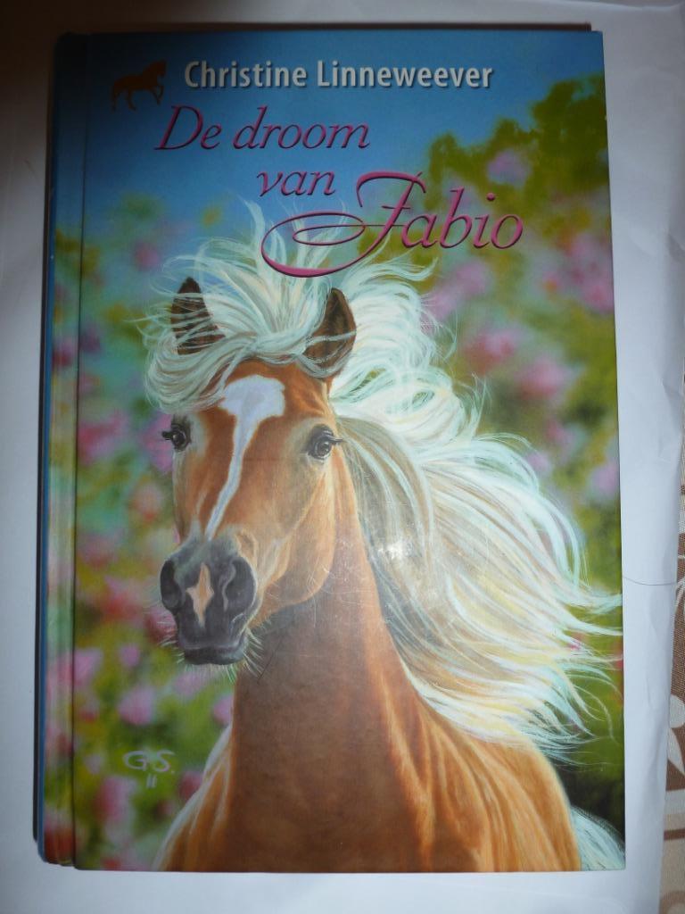 De droom van Fabio, Ophalen of Verzenden, Zo goed als nieuw, Christine Linneweever, Fictie
