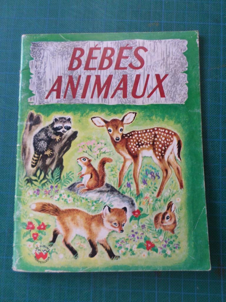 Bébés animaux (Phoebe Erickson) – 1974 – 18 pages, Enlèvement ou Envoi, Utilisé, Phoebe Erickson, Non-fiction