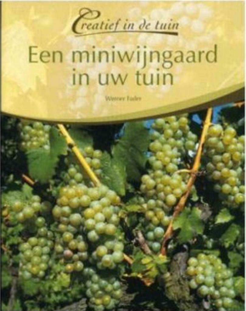 Een miniwijngaard, Werner Fader, Enlèvement