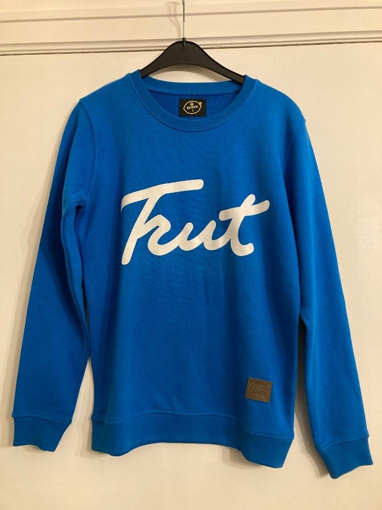 Mooie blauwe trui 'Trut' - 9 Lemons - maat S, Kleding | Dames, Ophalen of Verzenden, Gedragen, Maat 36 (S), Blauw