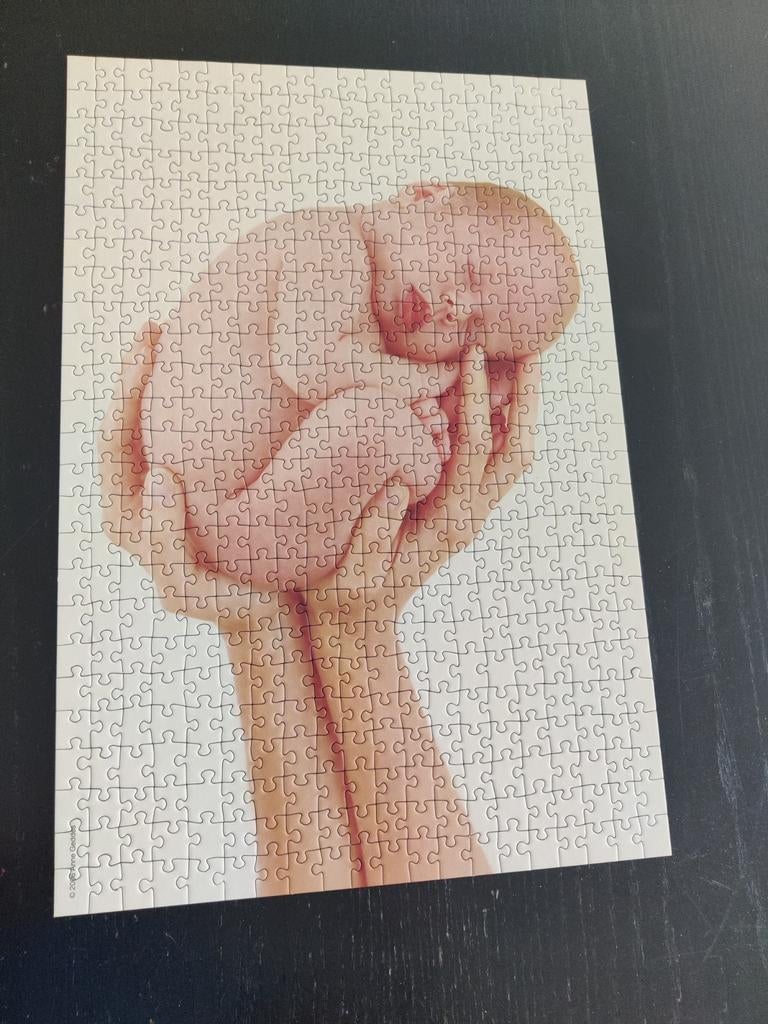 Anne geddes puzzel, Ophalen of Verzenden