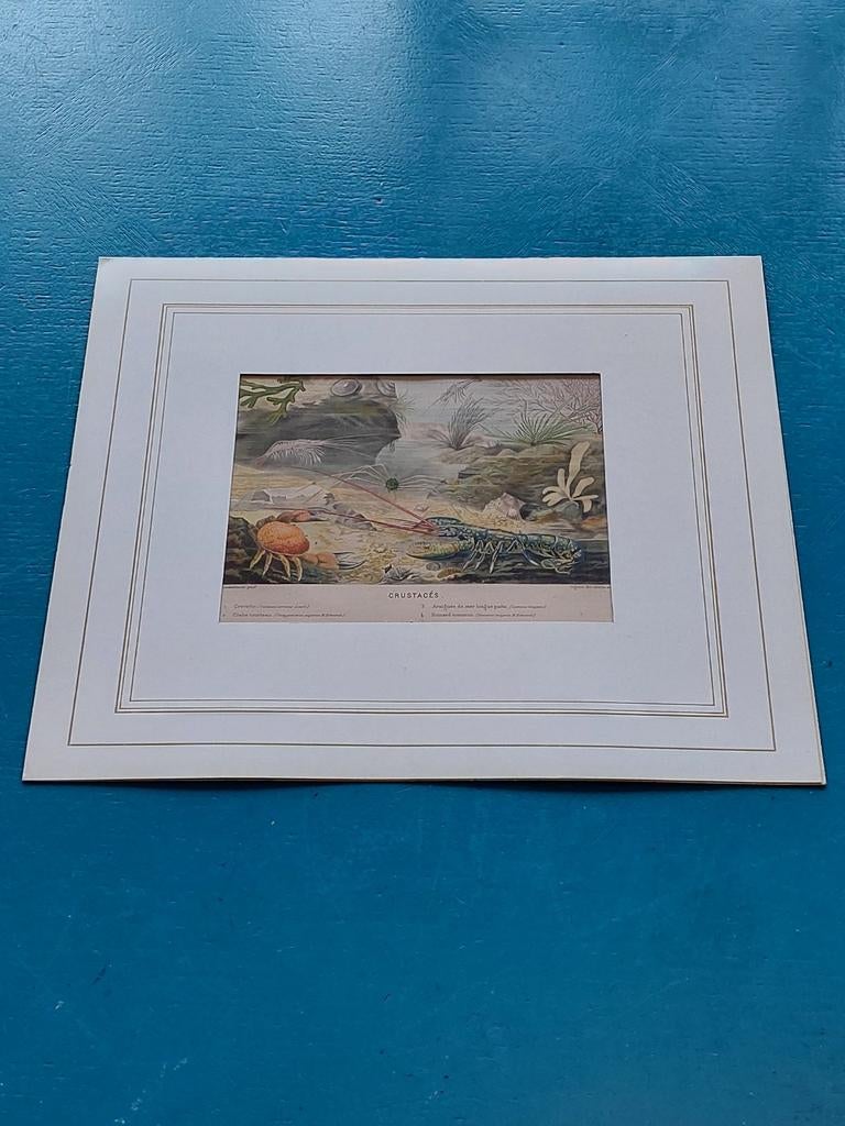 Chromolithographie, Enlèvement ou Envoi