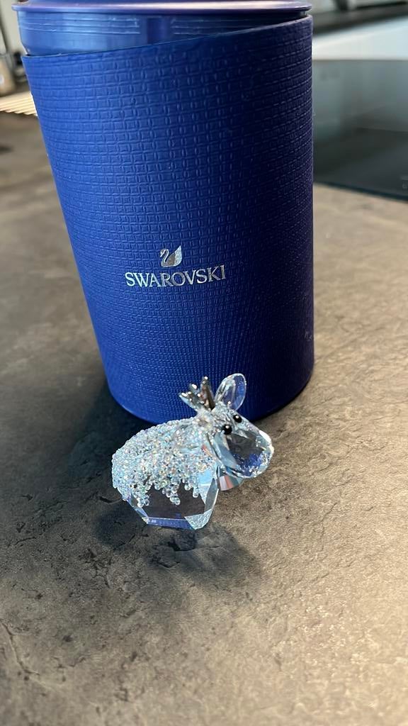 Princesse d'anniversaire de Swarovski, Collections, Enlèvement ou Envoi, Neuf