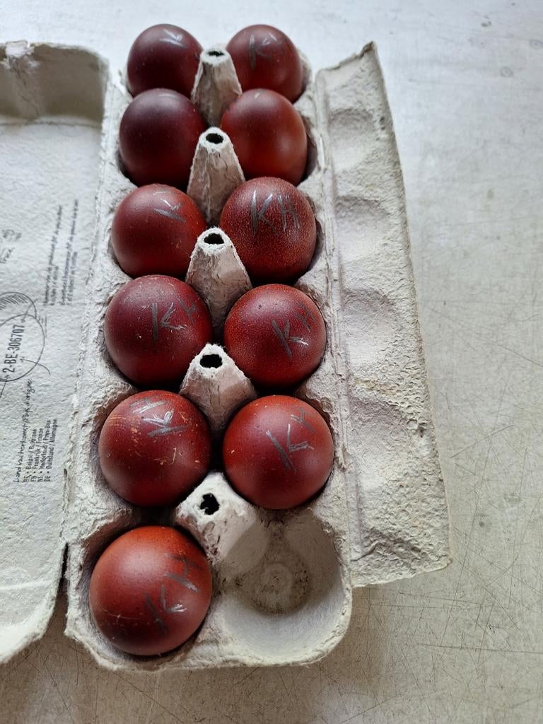 Broedeieren marans tarwe .