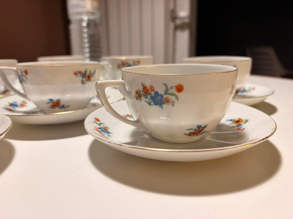 Set tassen porcelein Victoria China Czechoslovakia, Ophalen