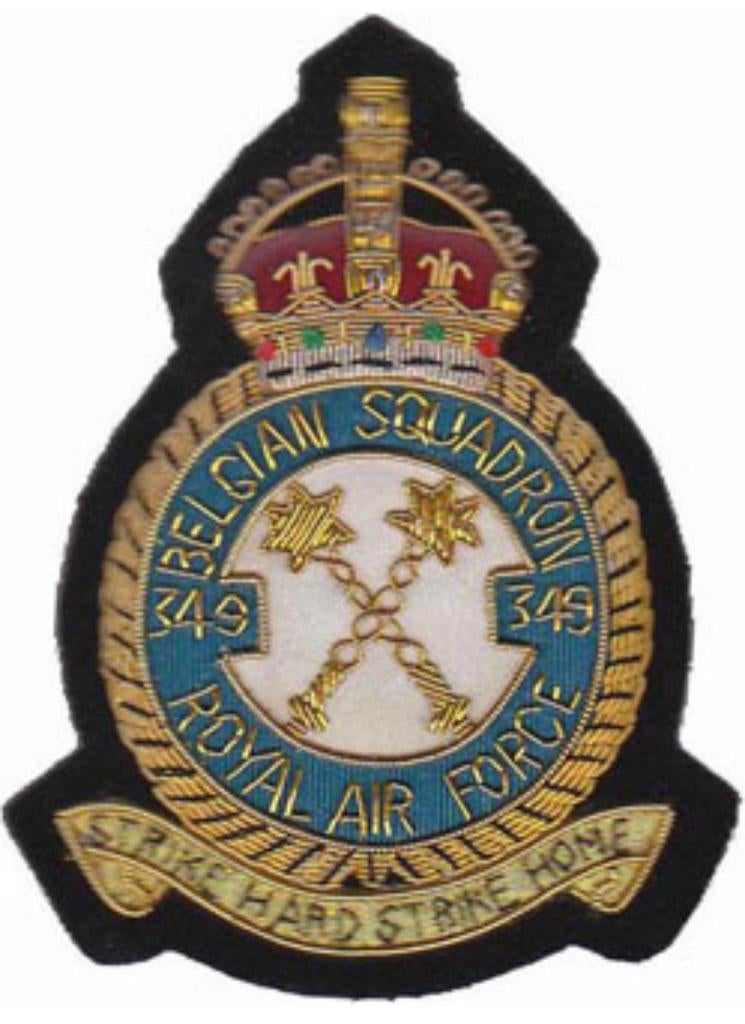 349 SQN Kleine Brogel (Gezocht), Ophalen of Verzenden, Luchtmacht, Embleem of Badge