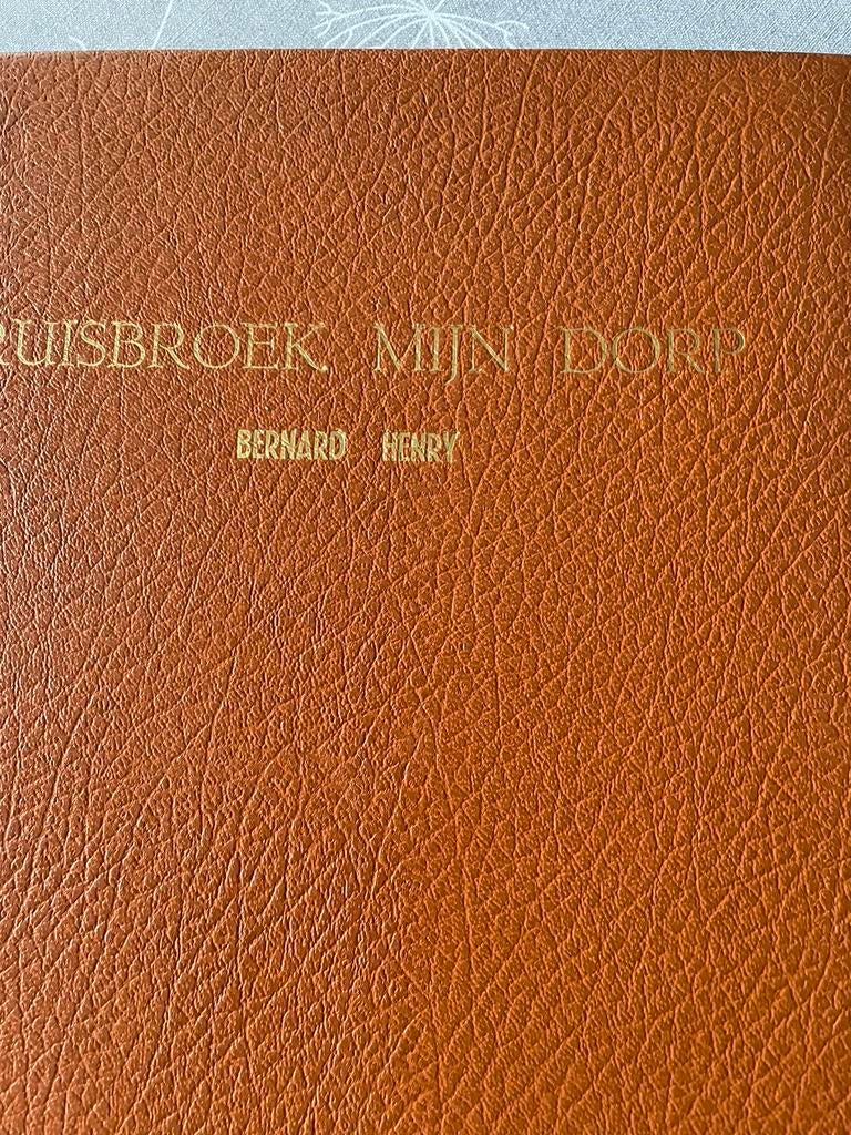 Livres sur Ruisbroek my village/flood, Enlèvement ou Envoi, Utilisé