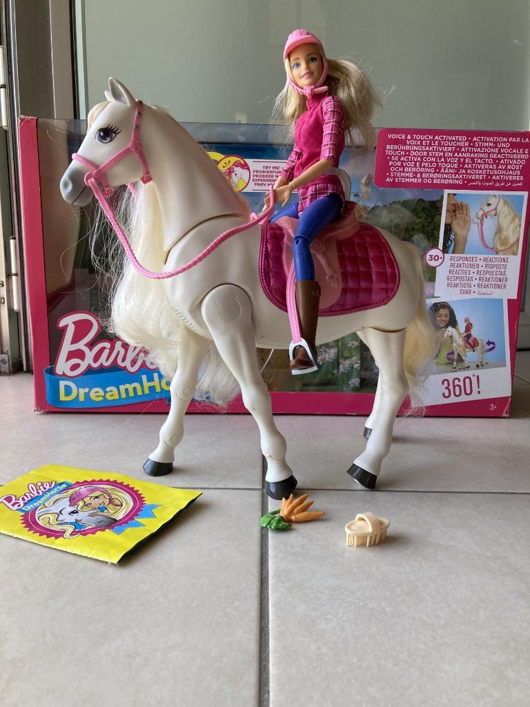 Barbie Dreamhorse Frv36, Kinderen en Baby's, Speelgoed | Poppen, Zo goed als nieuw, Barbie, Ophalen
