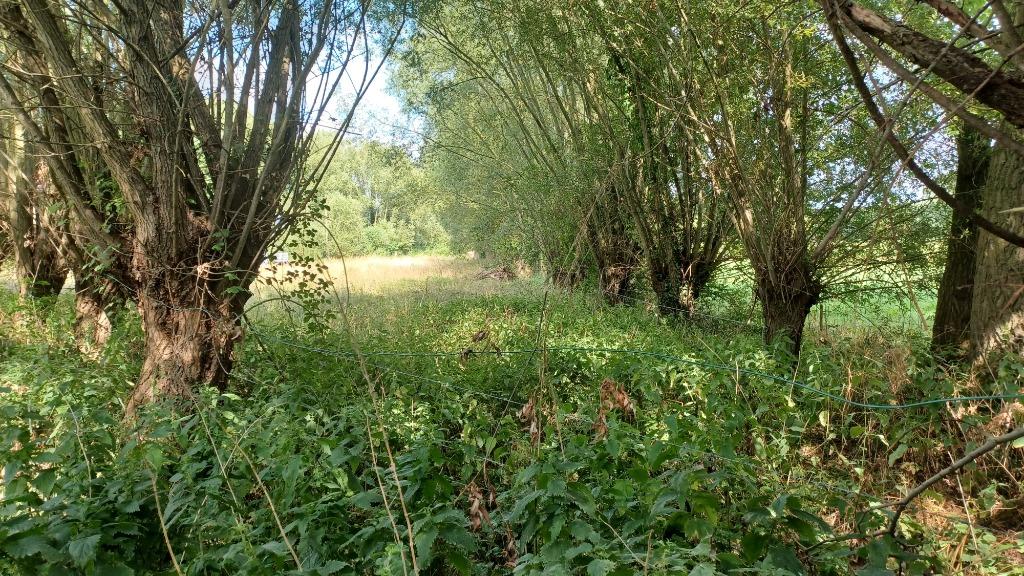 Stuk grond 2110m² in volle natuur, Immo, Lebbeke - Wieze, Verkoop zonder makelaar, 1500 m² of meer