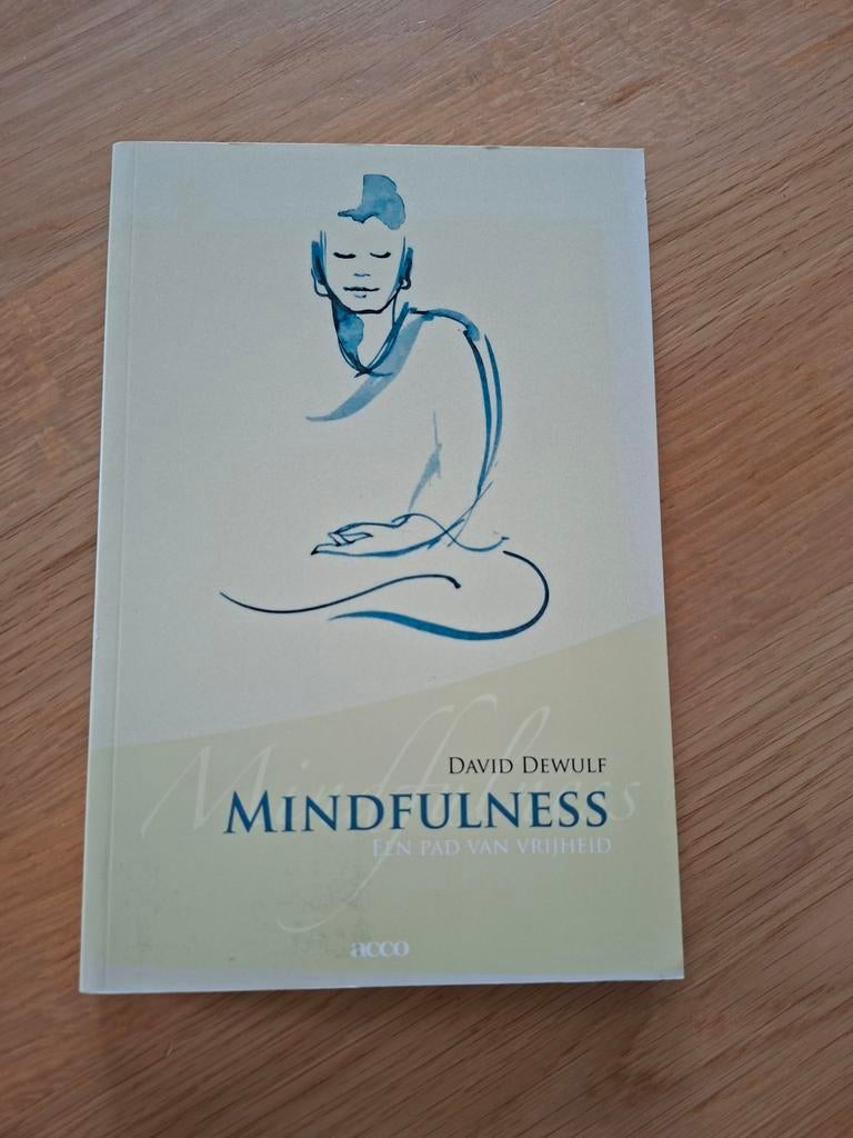 David Dewulf - Mindfulness, Boeken, Ophalen of Verzenden, David Dewulf