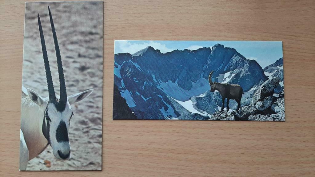 4 animaux merveilles du monde Nestlé en parfait état, Enlèvement ou Envoi, Utilisé