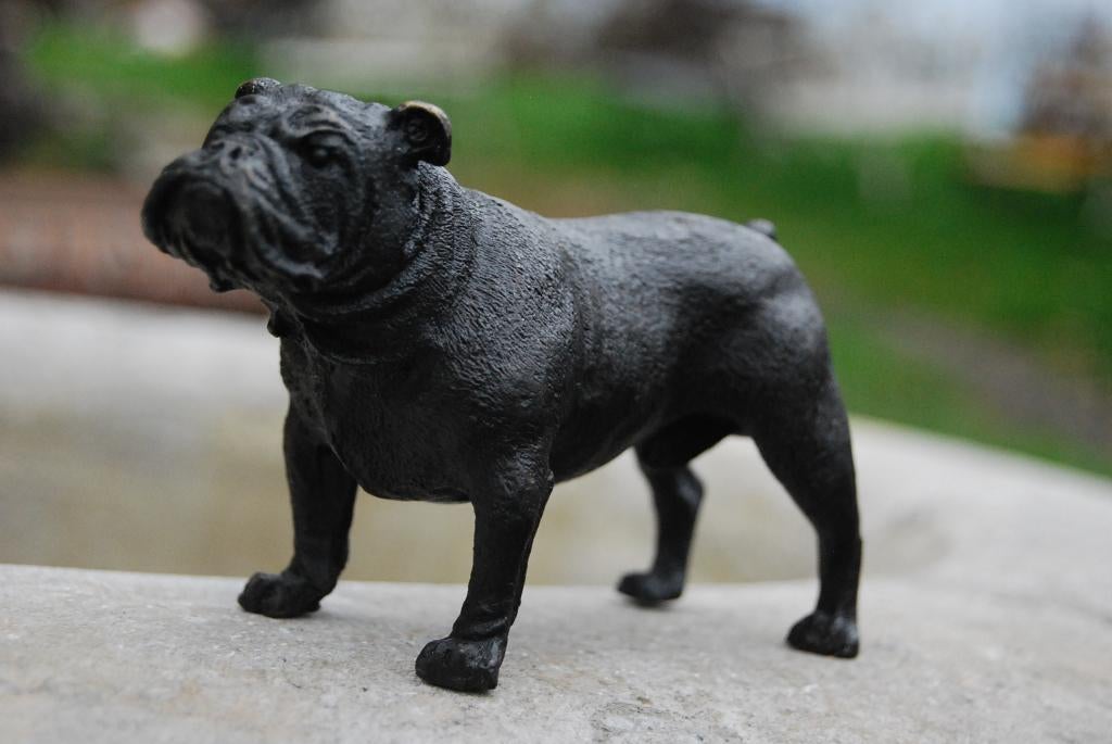 STATUE D'UN BOULEDOGUE ANGLAIS EN BRONZE, Enlèvement ou Envoi, Bronze