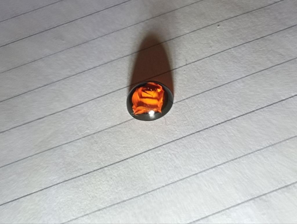 Cabochon d'ambre naturelle avec rose, Enlèvement ou Envoi, Neuf